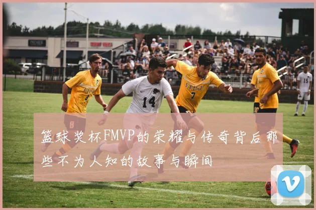 篮球奖杯FMVP的荣耀与传奇背后那些不为人知的故事与瞬间