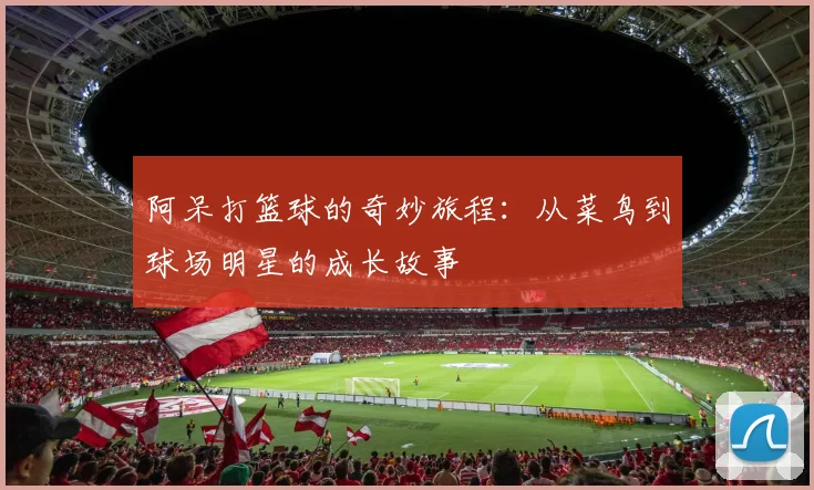 阿呆打篮球的奇妙旅程：从菜鸟到球场明星的成长故事