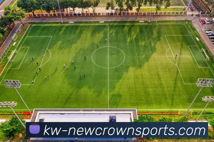 皇冠官网平台生态图